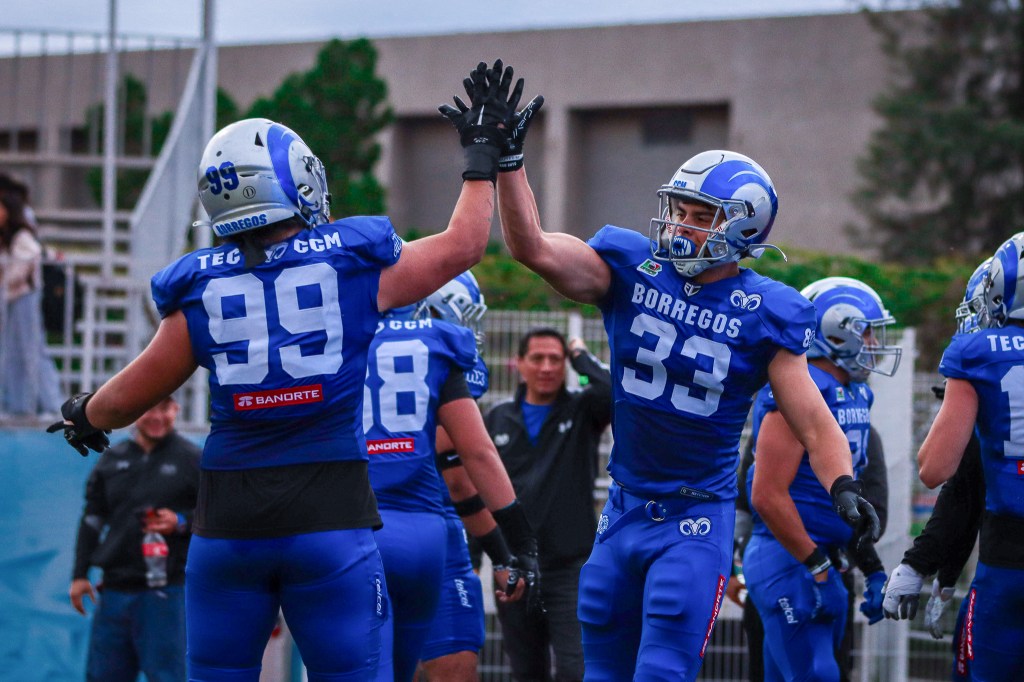 Los Borregos de la Ciudad de México y su Rebelión&nbsp;Silenciosa